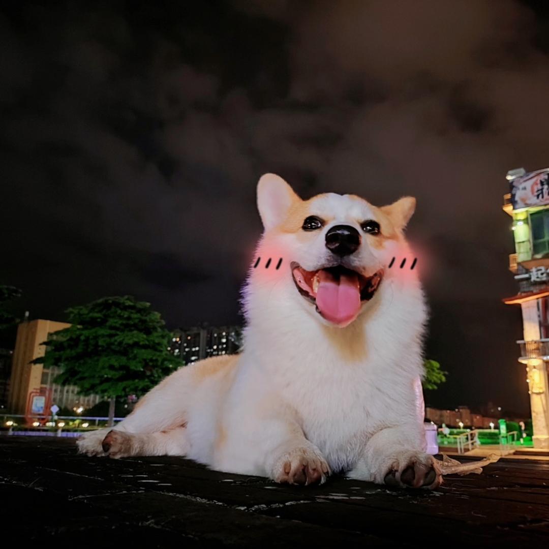 恭喜是只滑板基