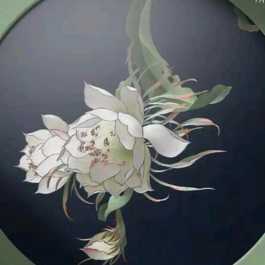 水煮鱼的鱼