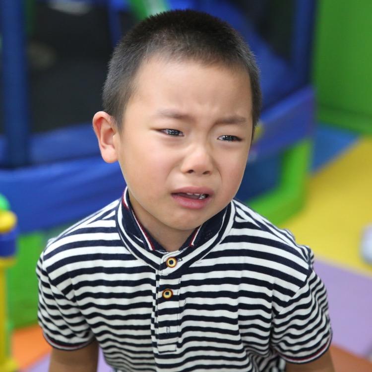 丞丞不爱学