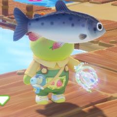 谁是世界上最棒的福来