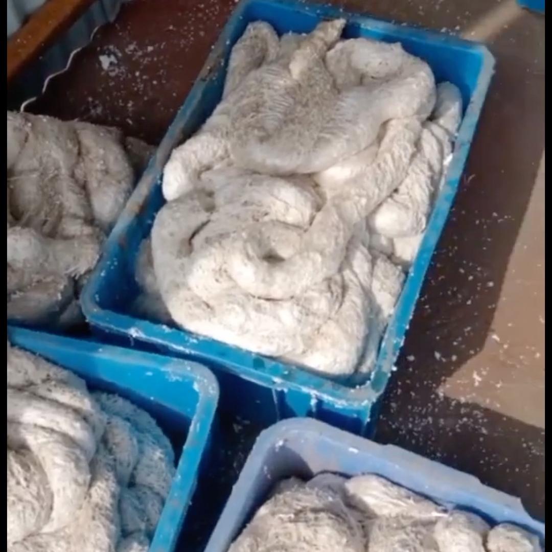 泡沫化坨机厂家