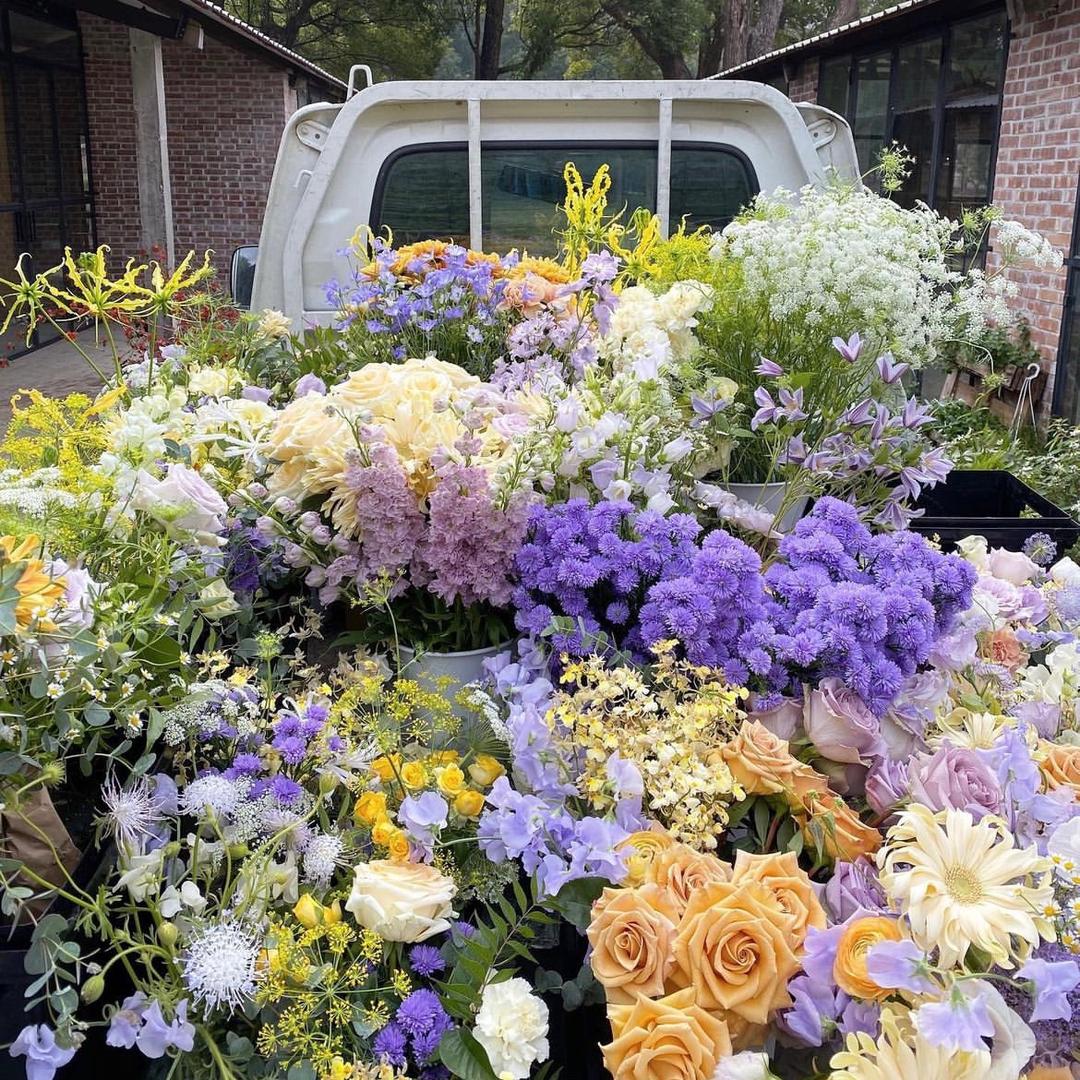 开心花店🌸
