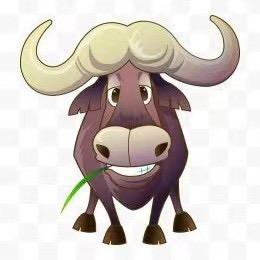 有点偏执的大笨牛