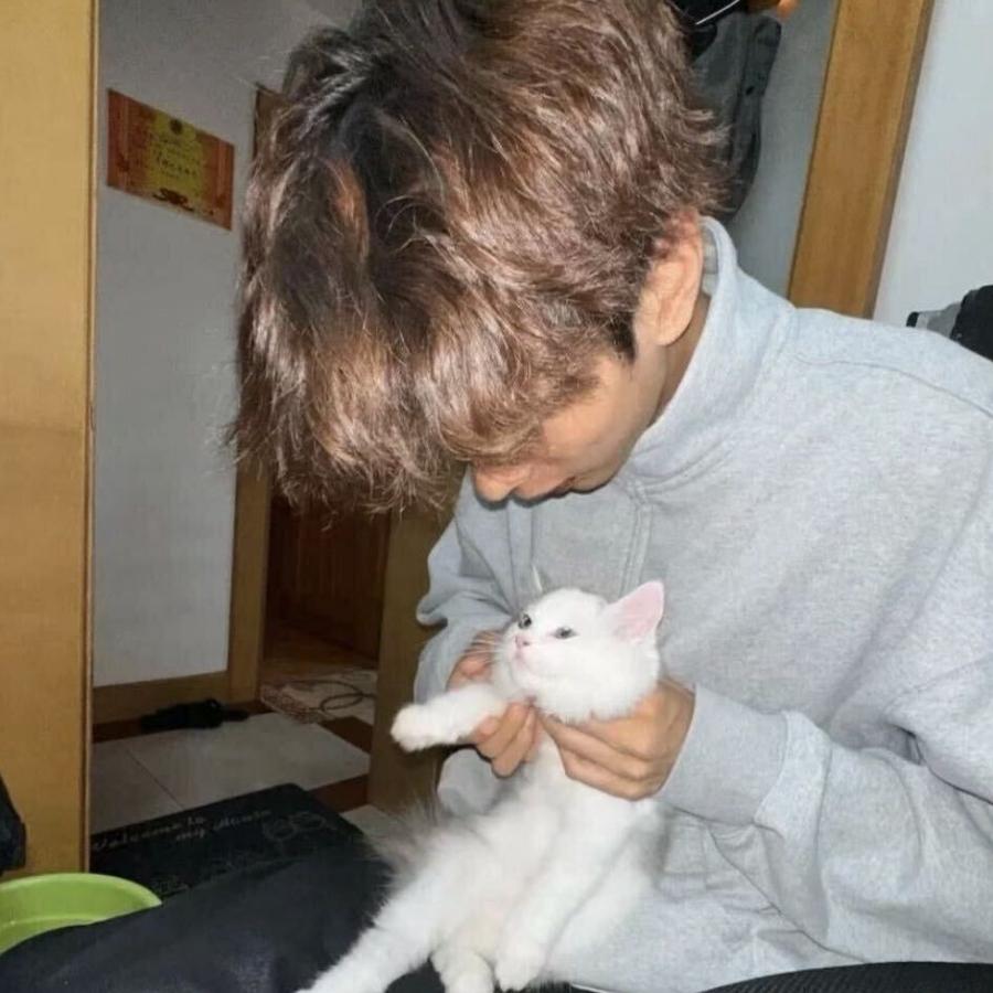 单反