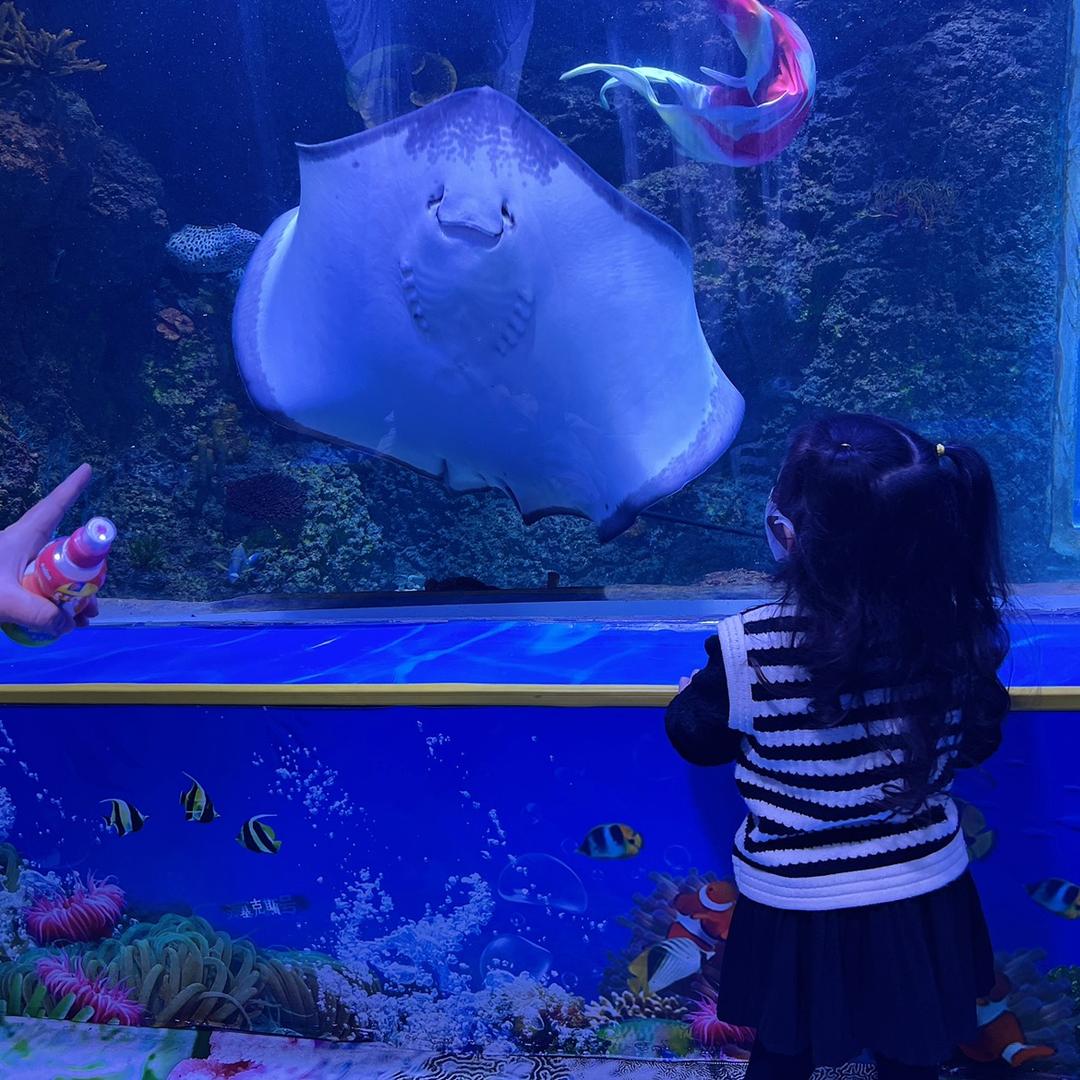 小歪妈妈❤️超会买💰