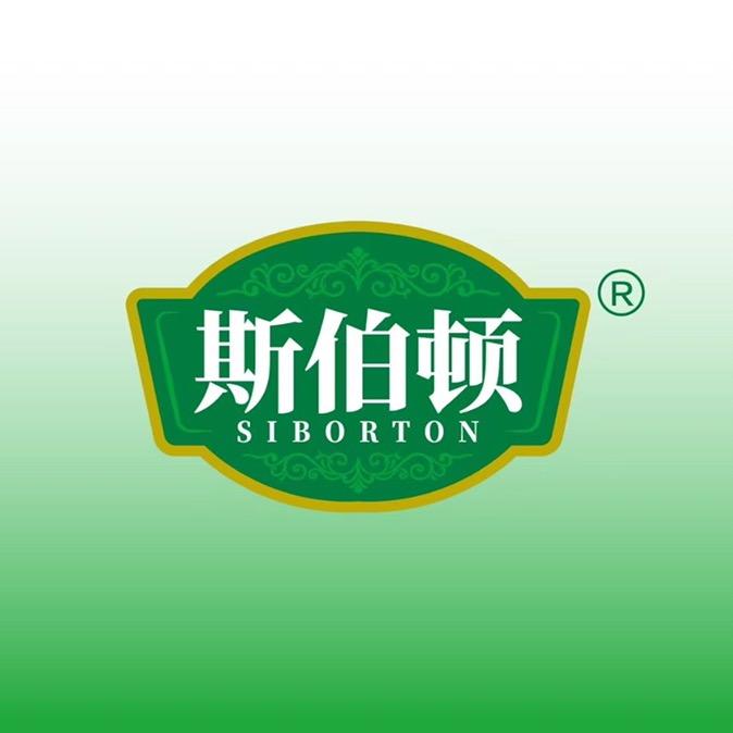 【斯伯顿】日照绿茶精酿啤酒