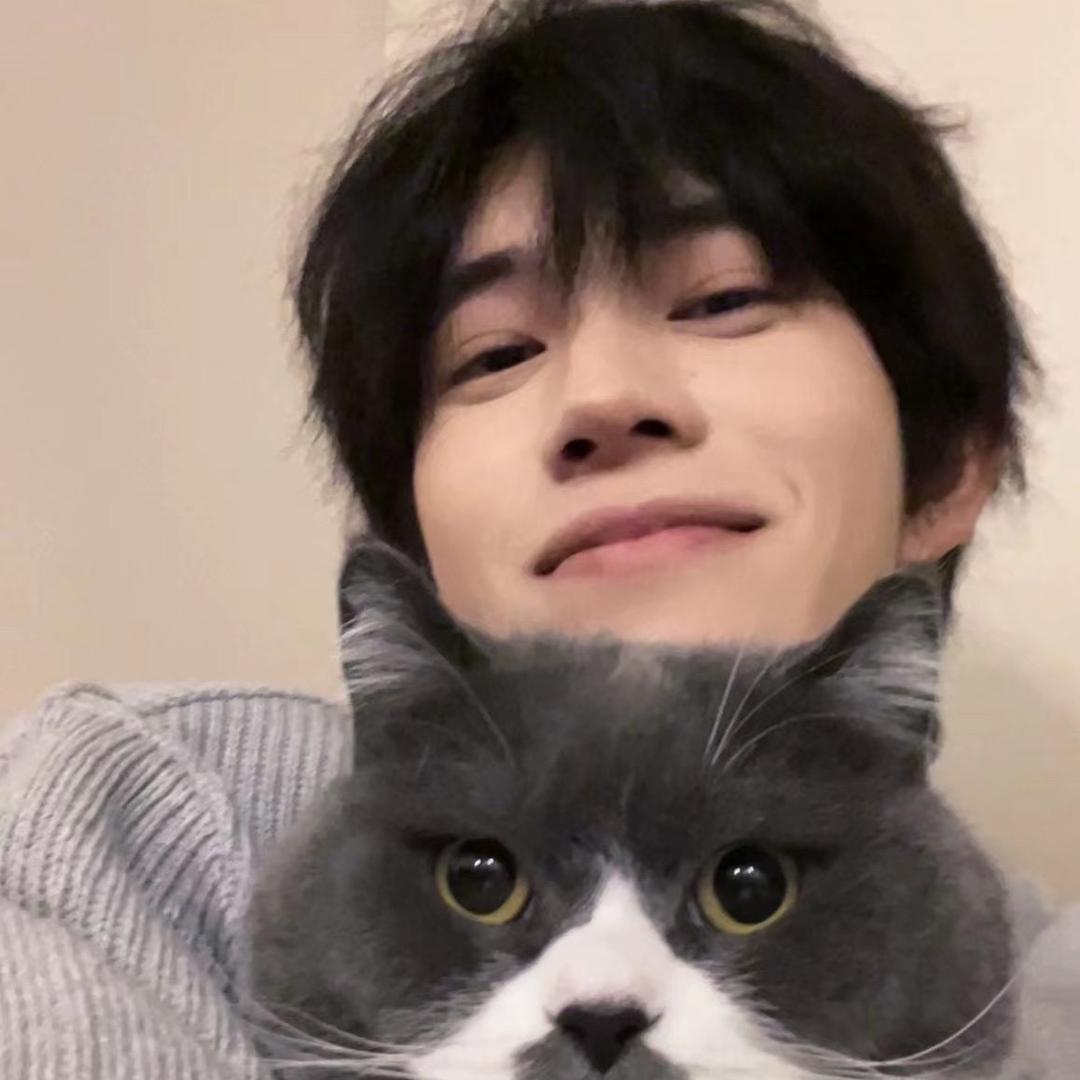 爱喜是只八嘎猫