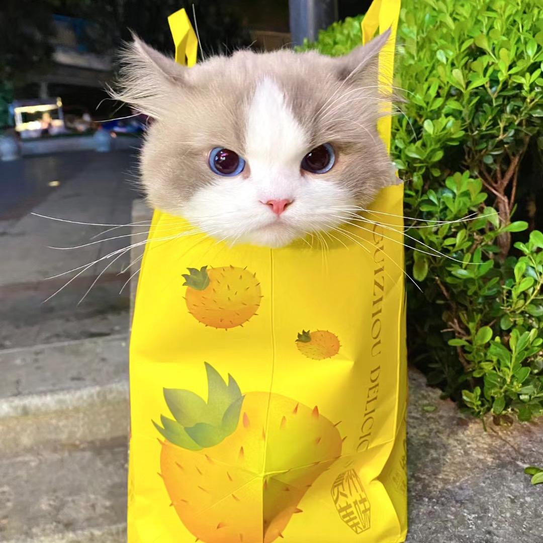 嗯嗯行行好的ok