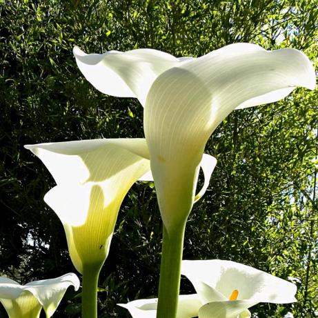 🏇上个路口🏇