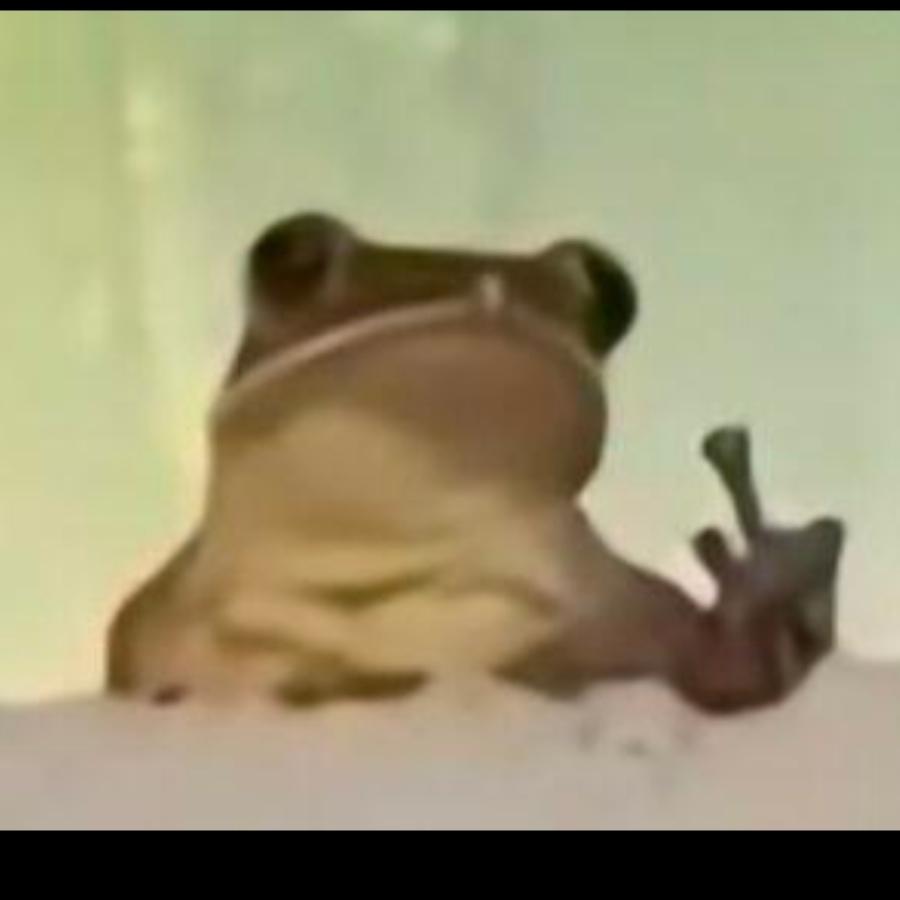 QM