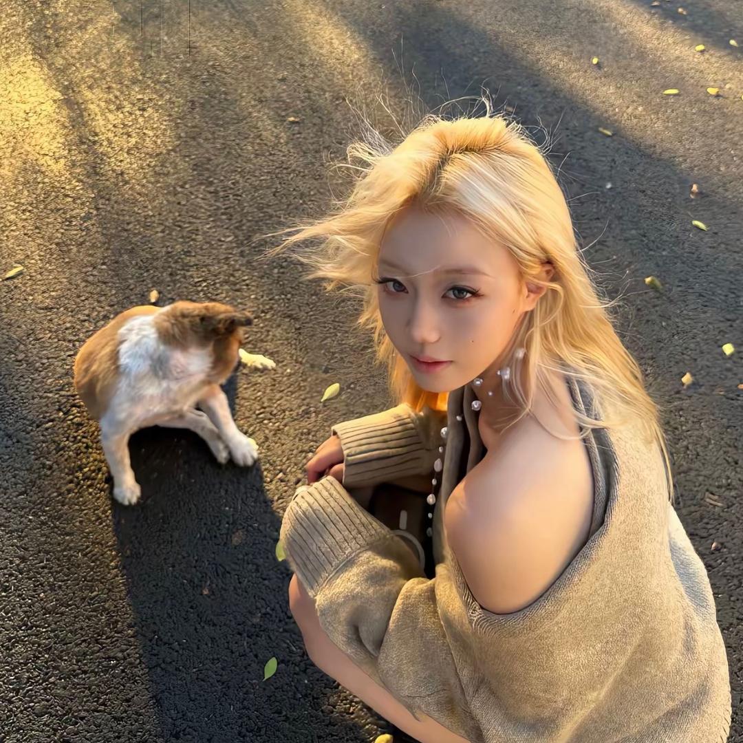 房东的猫.