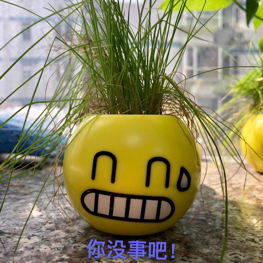 梦想拥有八块腹肌