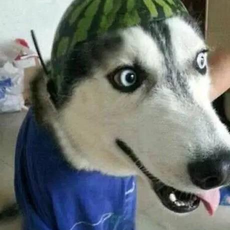 微微mmmmmmmmmmm