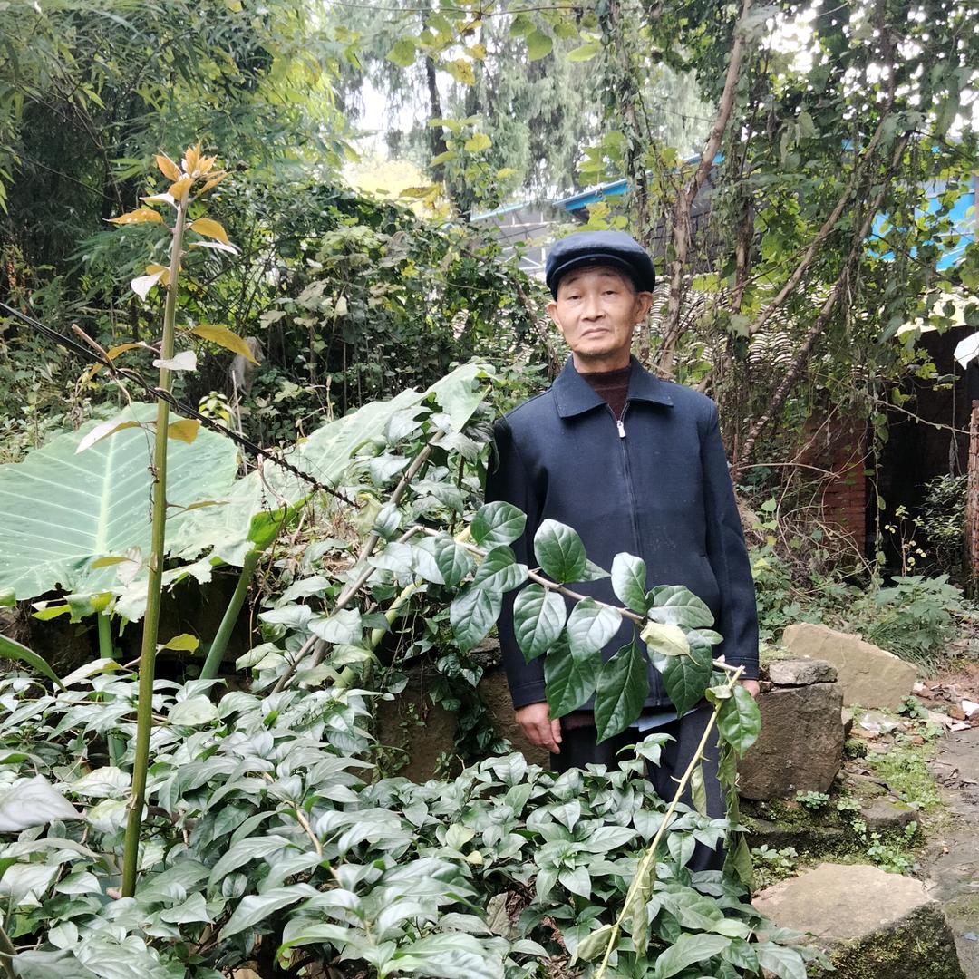 陈姓赢天下