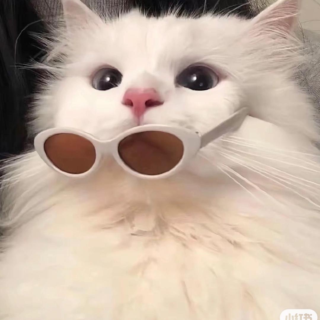 00后第一次创业