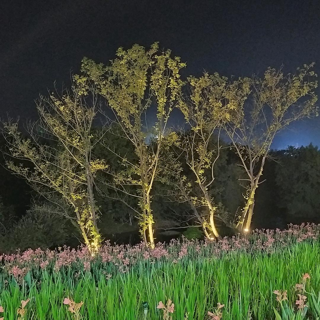 红色石头