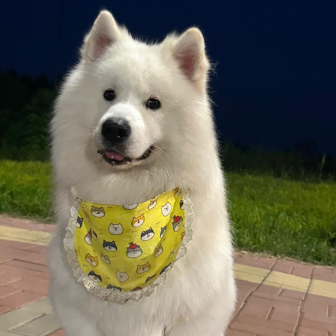 在睡亿分钟、