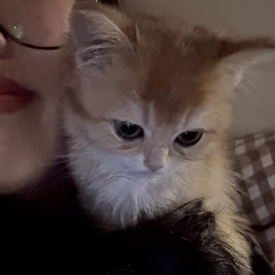 爱吃什么口味的豆皮儿（学习版）