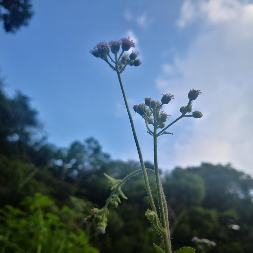 普宁市梅塘亿如反掌服装店（个体工商户）