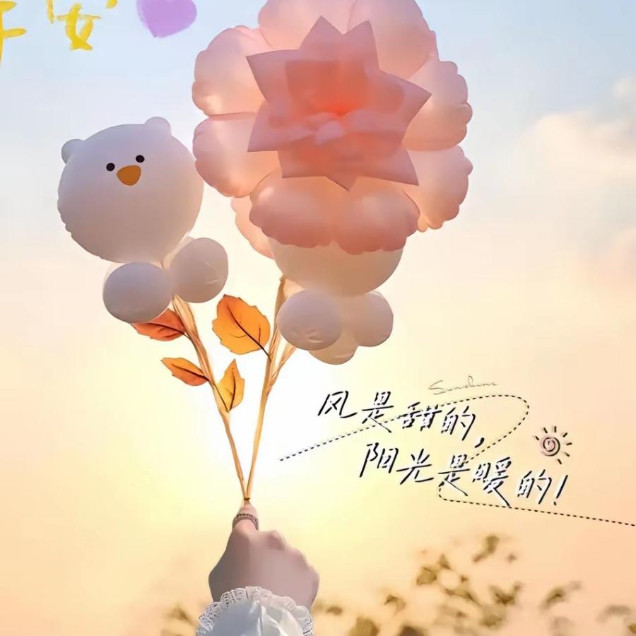 ✧放ྀ飞❦梦℘想ོ