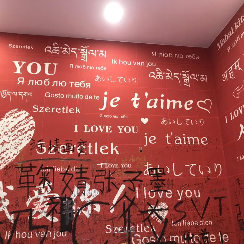 胡图图考上大学