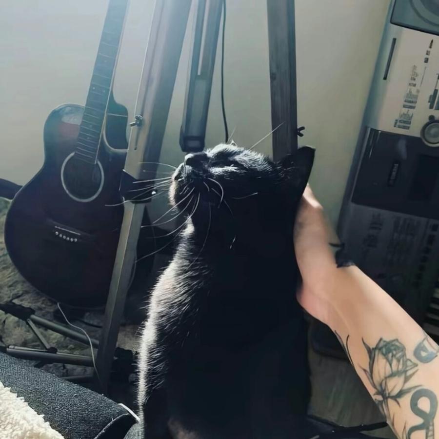 𝓯𝓻𝓮 𝓬𝓴