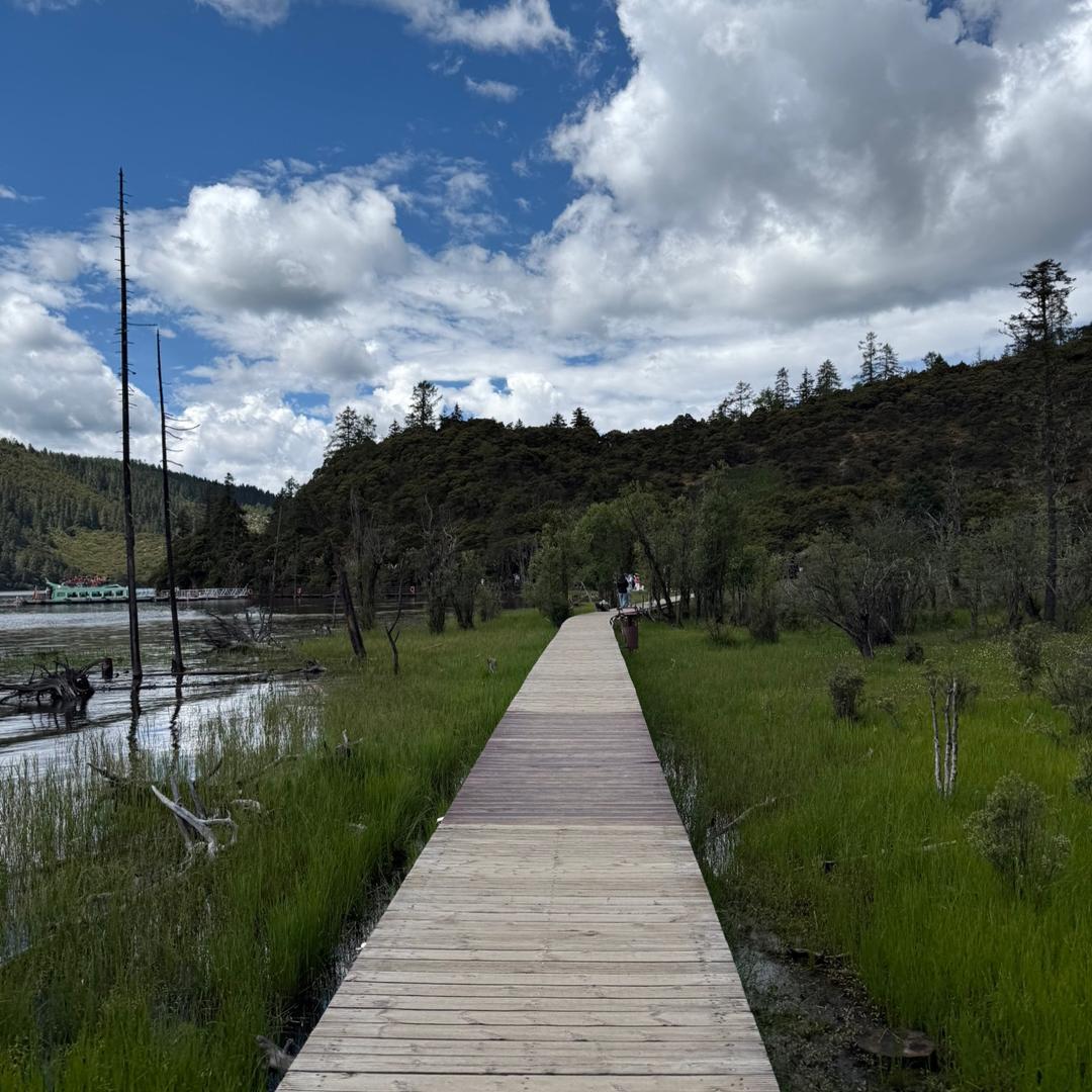 苹果味的冰淇淋