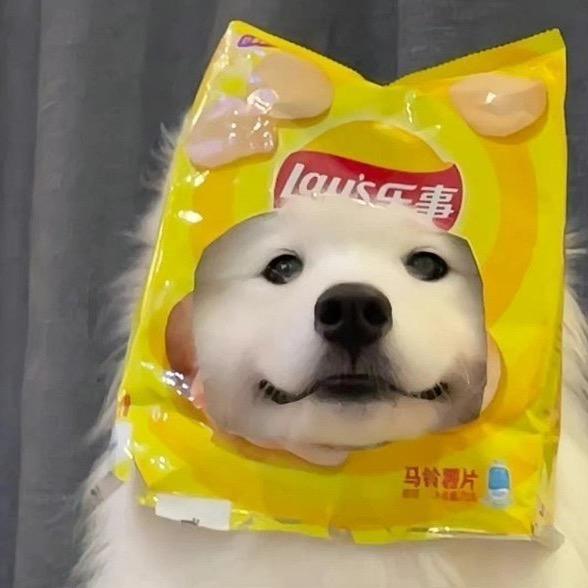 睡着了也困