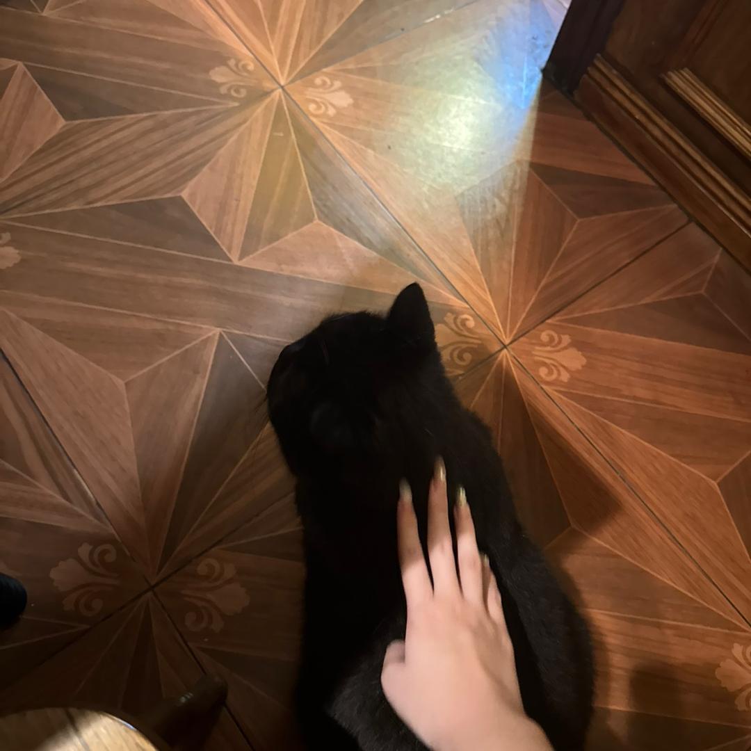 Kangaroo杏仁