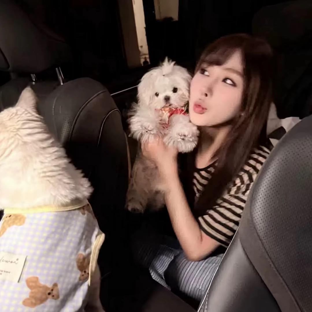 秋ㅤㅤㅤㅤㅤㅤㅤㅤ