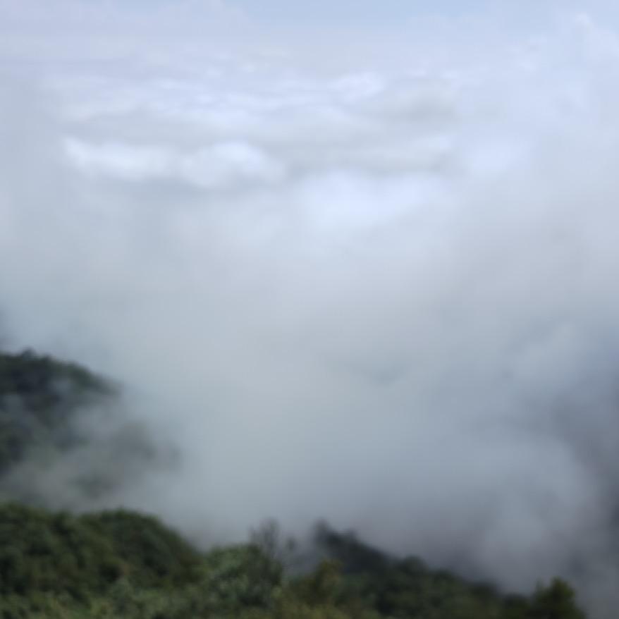 又菜又爱玩的老猪