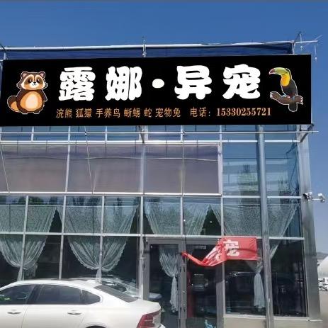 Luna露娜的阿贝贝