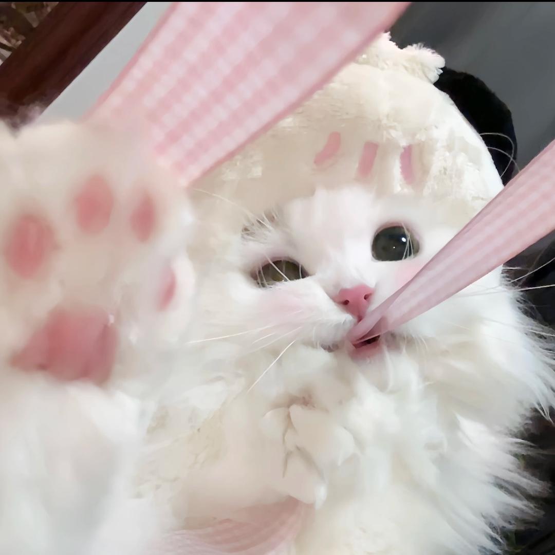 江江