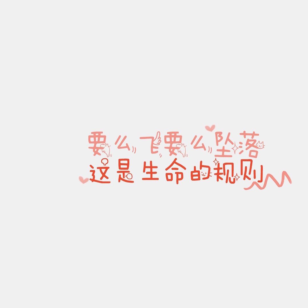 小趴菜