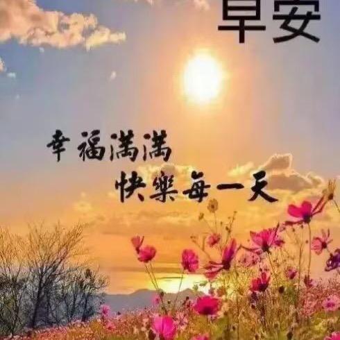 1233