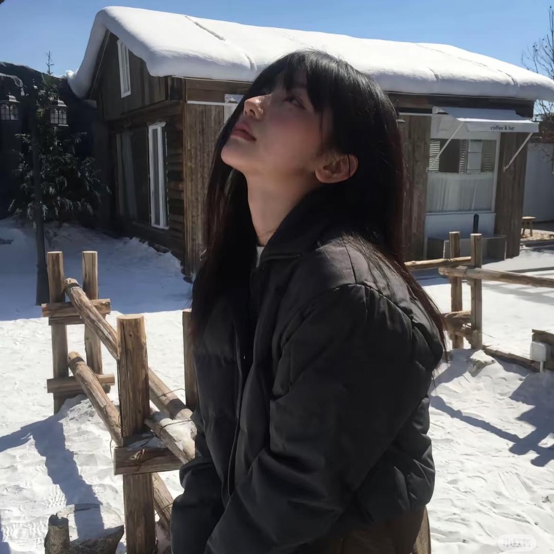 环游小菲