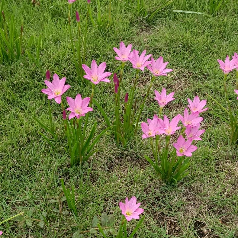 ໑ຼₒ₂5ღ᭄岁月静好🕊꧔ꦿ᭄💞