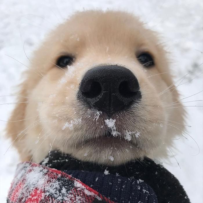 千巡-【同款在橱窗】