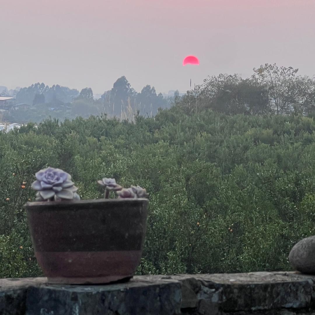 方燕花卉创意屋