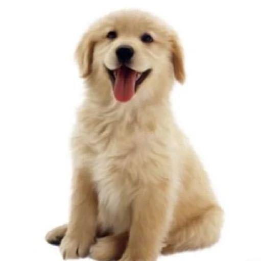 你吵到我的眼睛了！