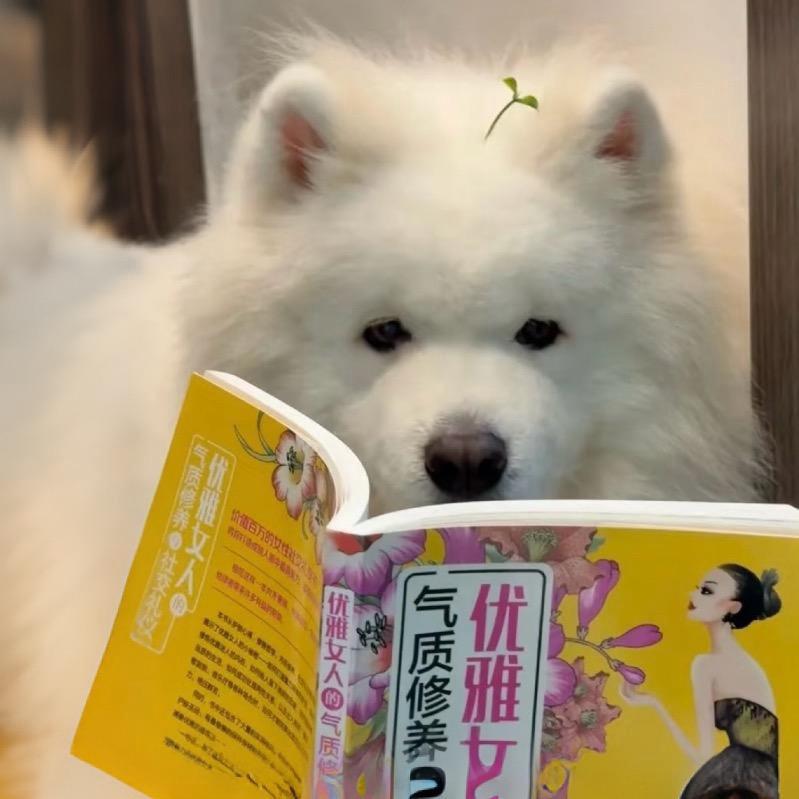 160椰椰的衣橱🛒