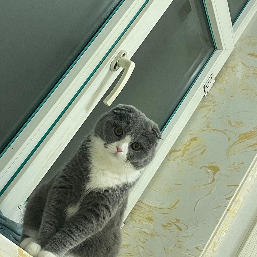 若 梦
