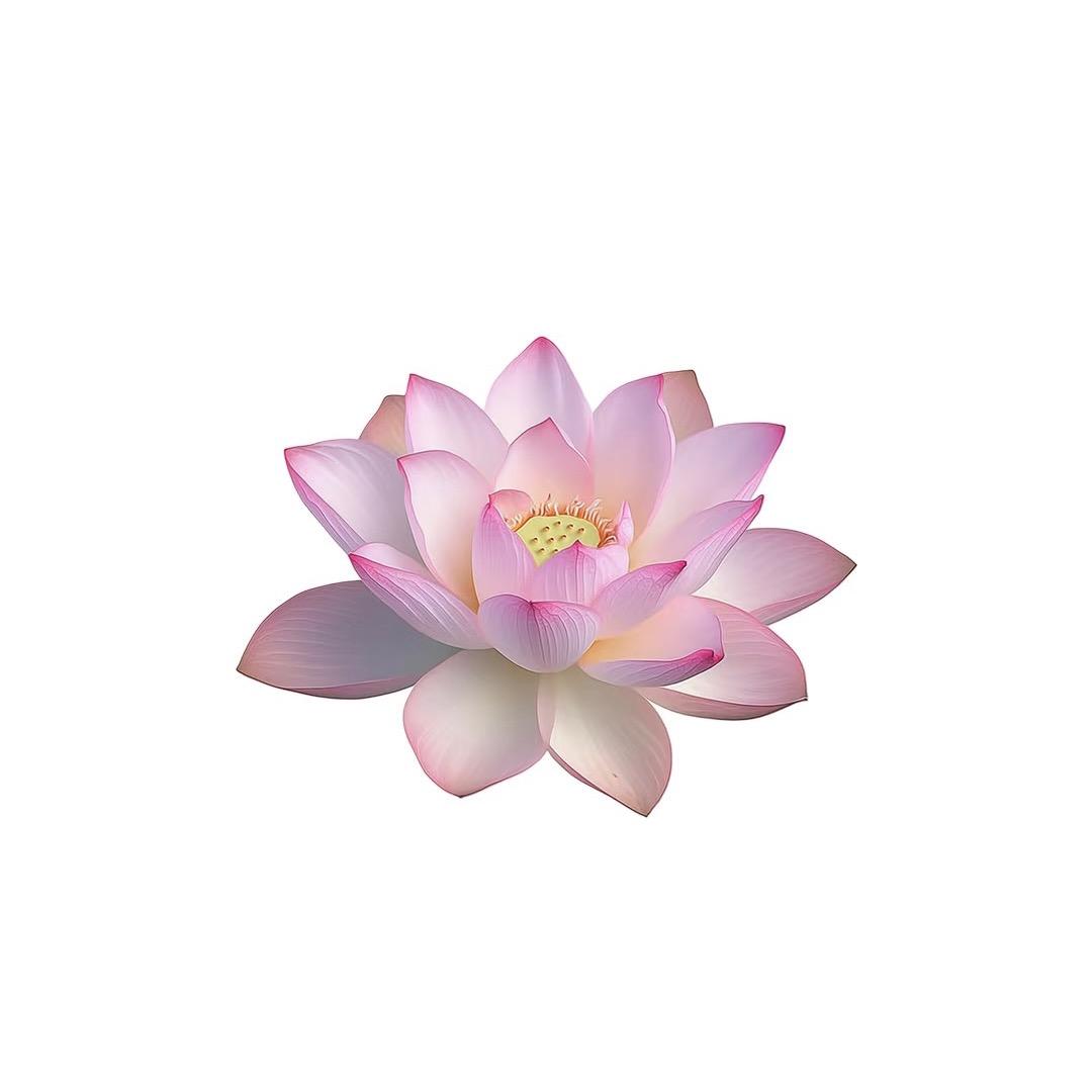 小水