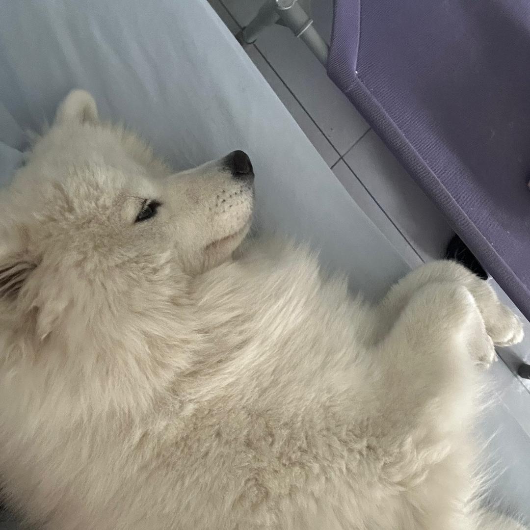 钱钱成长日记