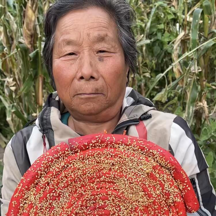 奶奶是网红