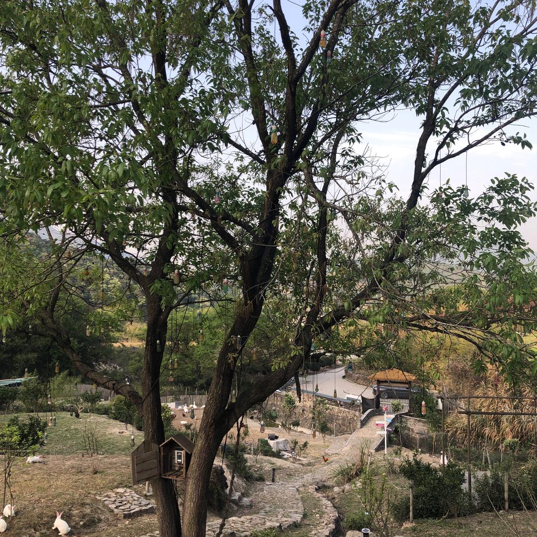 乡贤农旅甄选农场