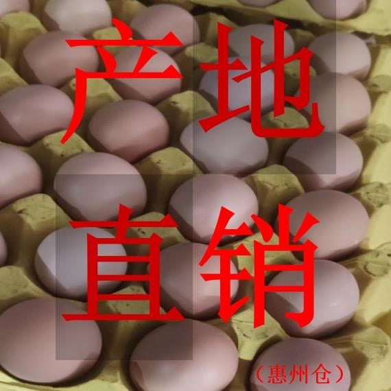 本地鲜仓库：鲜蛋产地直销仓（广东惠州）