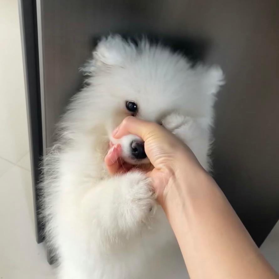 不许讲话