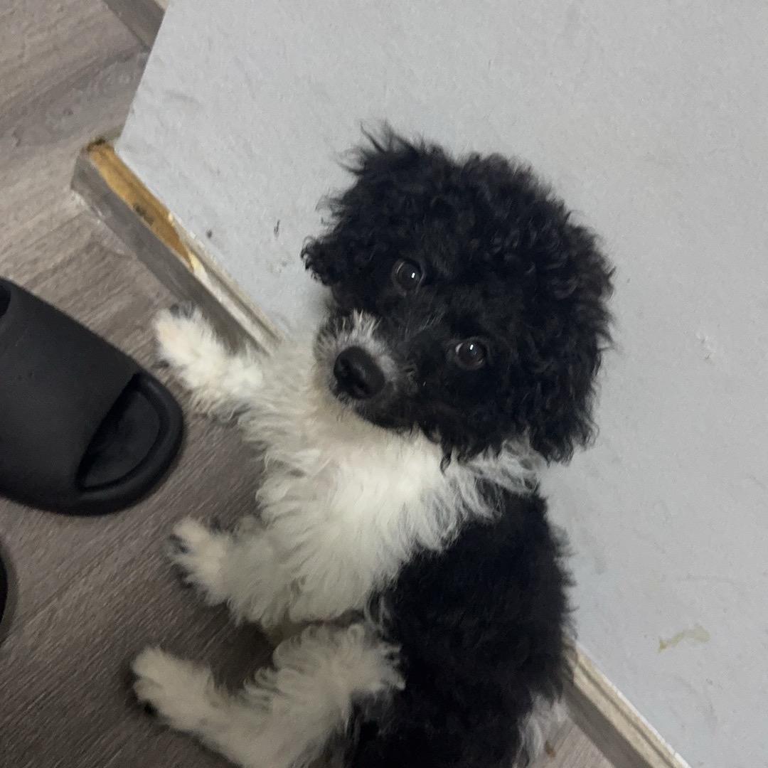 好尔特包装材料