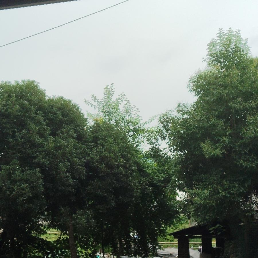 似梦年华